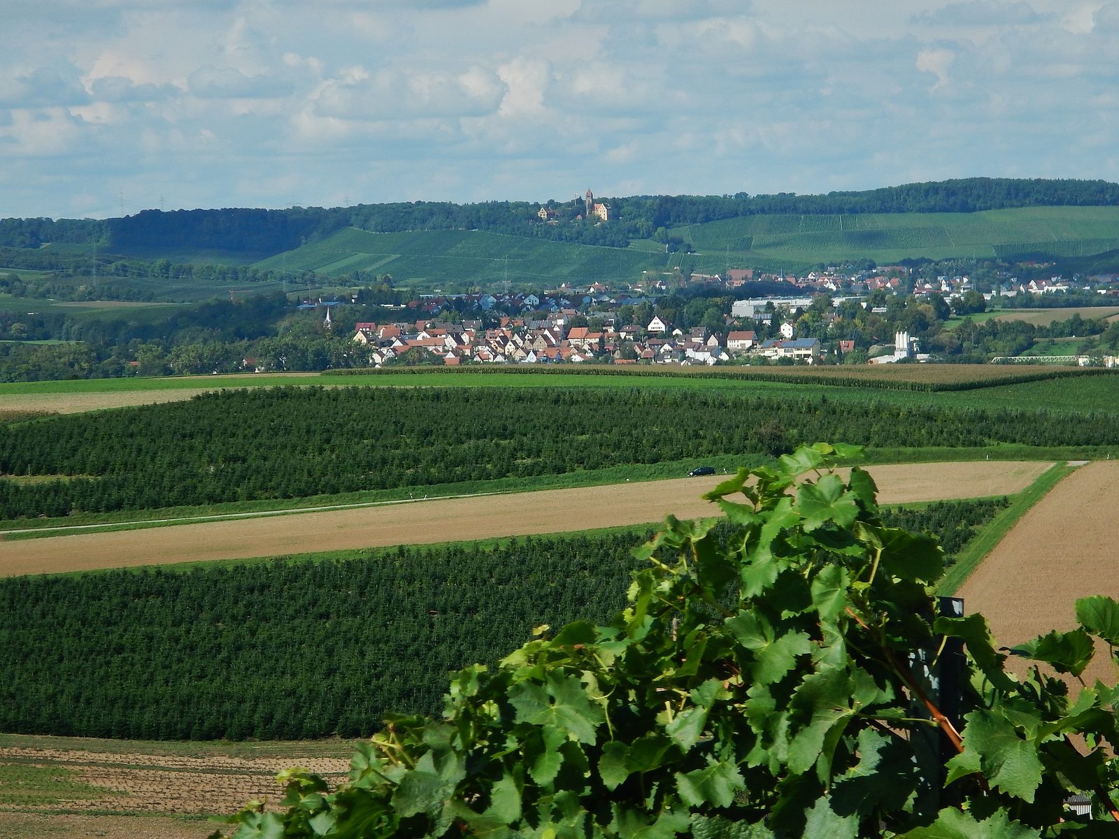 Blick &uuml;ber die Weinberge des Zaberg&auml;us auf einen Brackenheimer Ortsteil, dahinter die Burg Neipperg auf dem H&ouml;henzug