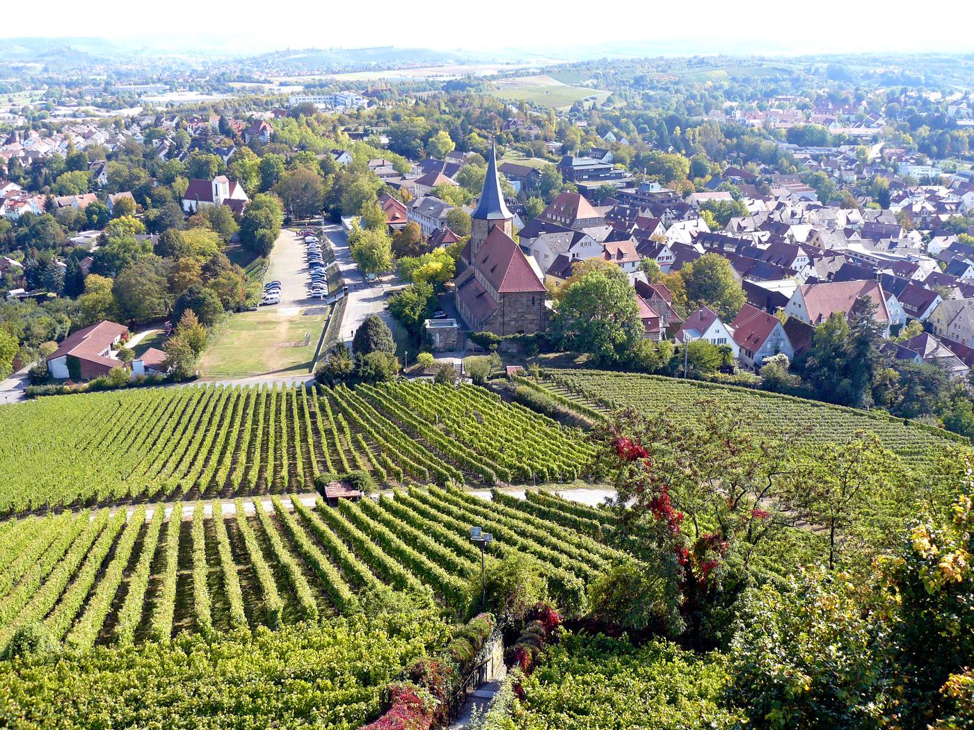 Blick von der Burgruine Weibertreu &uuml;ber die Weinberge auf die D&auml;cher von Weinsberg mit der Johanniskirche
